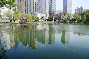 合肥風(fēng)光 春天的包河公園