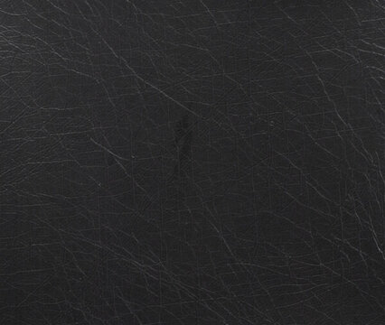 皮紋