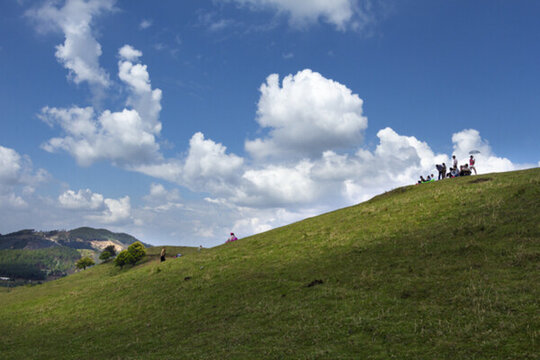 高山草地