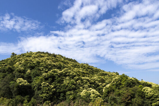 金山銀山