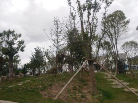 音樂小鎮(zhèn) 瑪瑙 礦 洛南印象