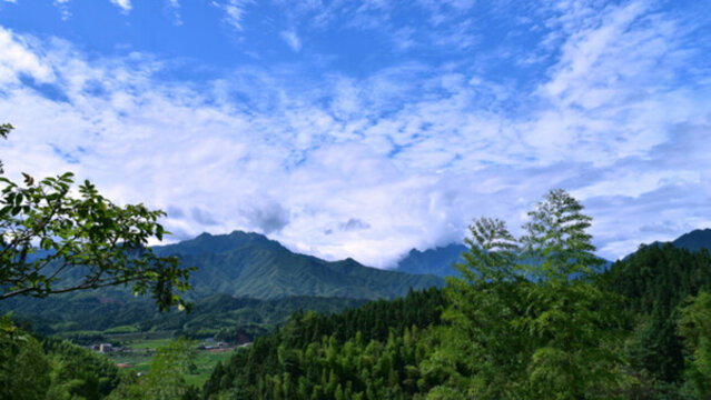 武夷山脈 七仙山