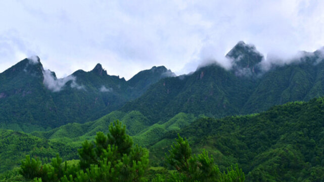 武夷山脈 望夫山主峰