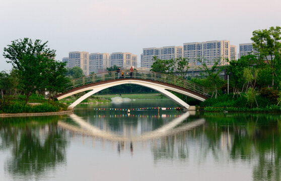 植物園早晨