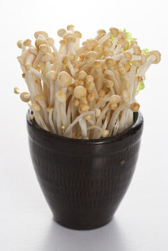 金針菇