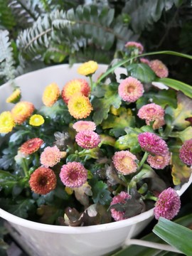 小花