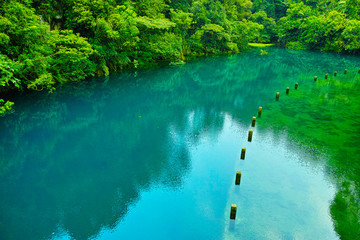 鼎湖山公園