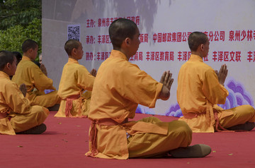 南少林武術(shù)表演