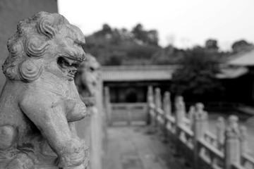 宮殿石獅子 黑白