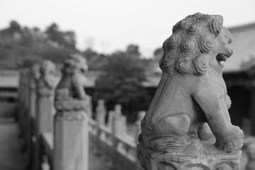 宮殿門前石獅子