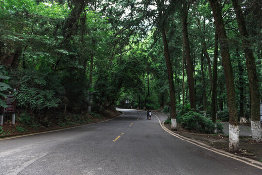 林間公路