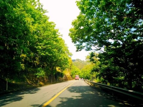 浙江永嘉楠溪江綠道