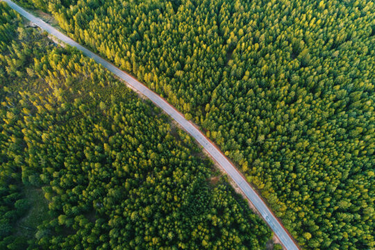 穿越綠色林海的公路