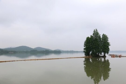 東湖綠道風景