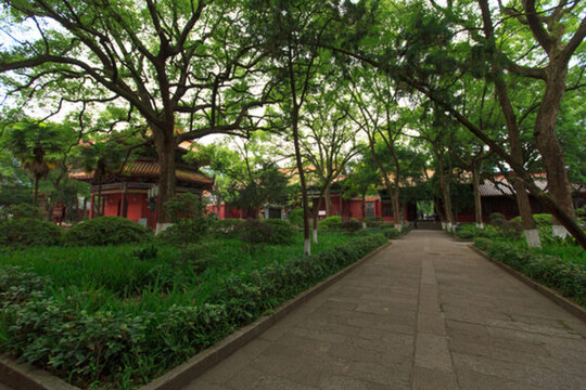 南岳大廟 綠樹成蔭
