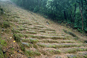 山坡小路