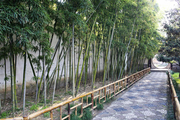 籬笆竹林小路  蘇州園林