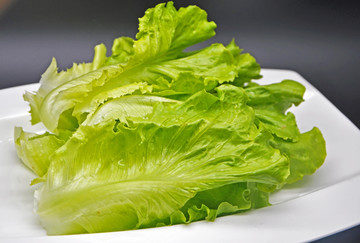 新鮮生菜