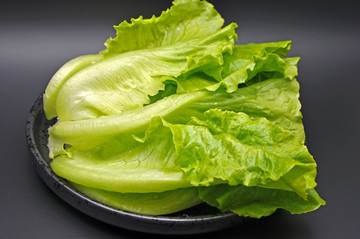 新鮮生菜