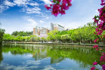 滿園春色