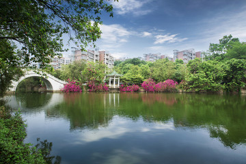 春色滿(mǎn)園