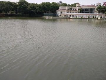 肌理 紋理 磚紋 自然紋 背