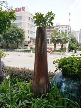花 樹 枝 樹葉 葉子 綠色