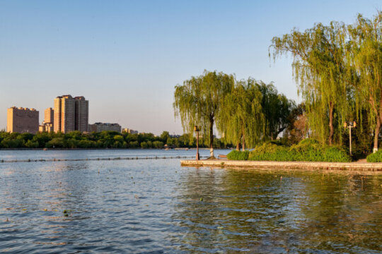大明湖