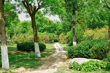 4000萬像素 公園小路