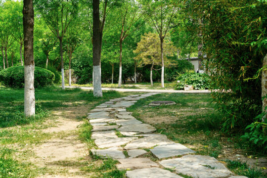 4000萬像素 公園小路