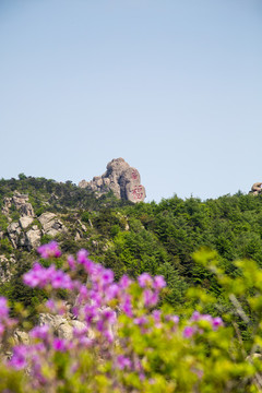 山東 青島 春天的嶗山風(fēng)光