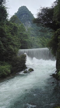 風(fēng)景