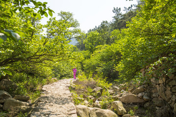 山東 青島 春季山村風(fēng)光