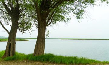 湖邊小景