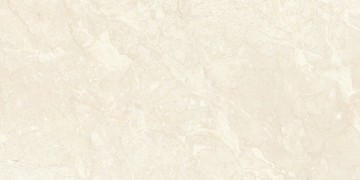 紋理21