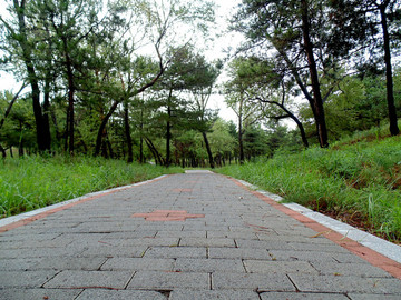 公園磚路