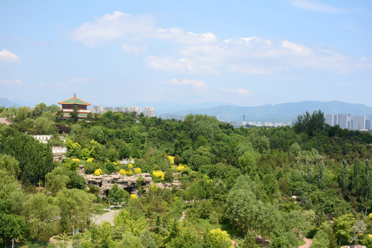 綠樹藍天園博園