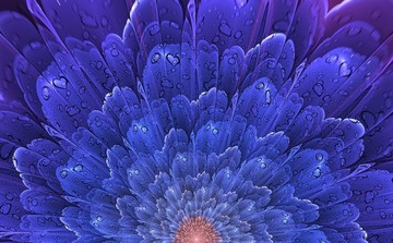 花卉裝飾畫