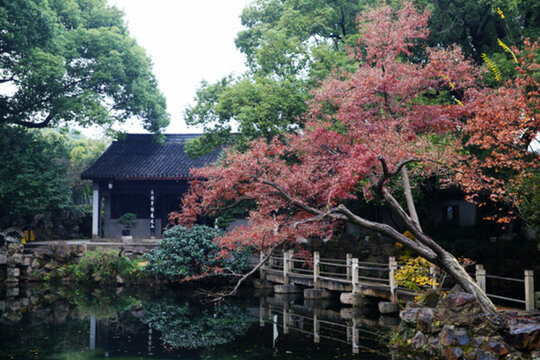 無(wú)錫寄暢園秋景