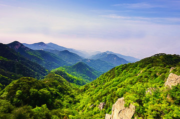 泰山