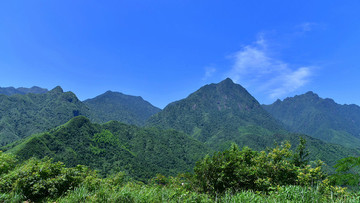 大山風(fēng)景 森林植被