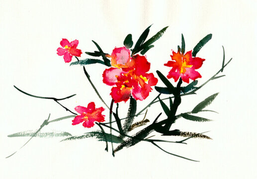 紅色的花朵