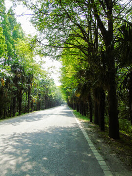 道路一側(cè)攝影圖