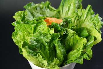 蔬菜拼