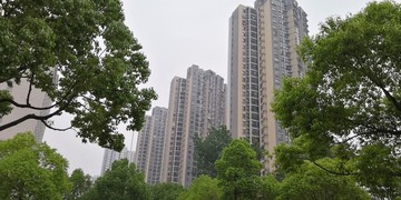 綠蔭下的城西花園