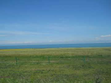 青海湖邊草原DSCN6179