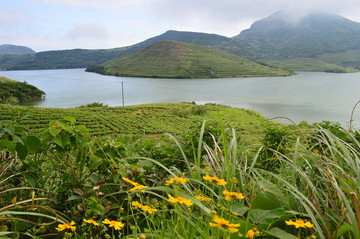 俞山島