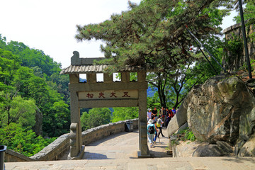 泰山風(fēng)景名勝區(qū) 五大夫松坊
