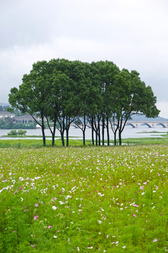 余姚旅游