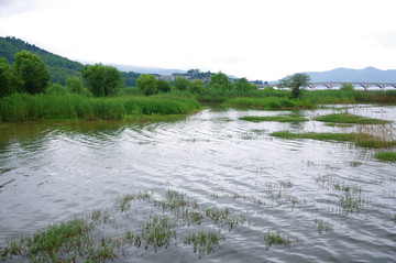 四明湖